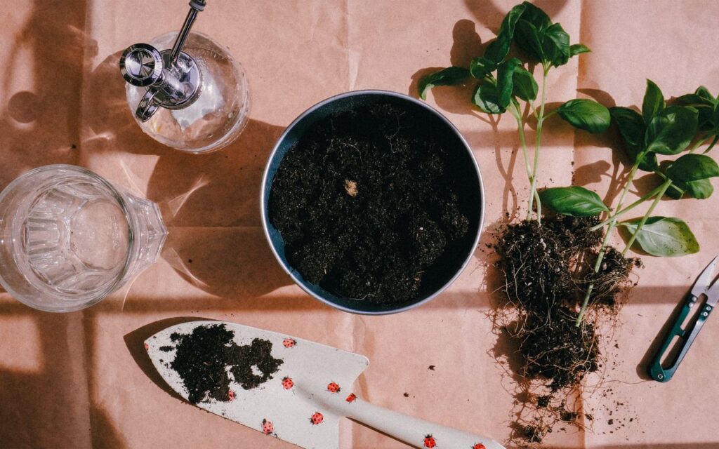 The Art of Drawing Readers In: Your attractive post title goes here Flat lay of gardening tools, soil, and seedlings ready for planting.