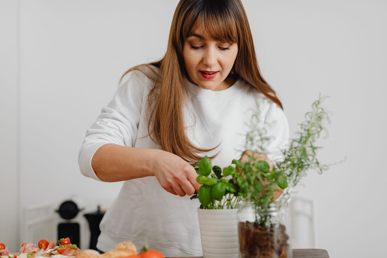 A woman in a white sweater tending to a potted herb plant indoors, showing focus and care.